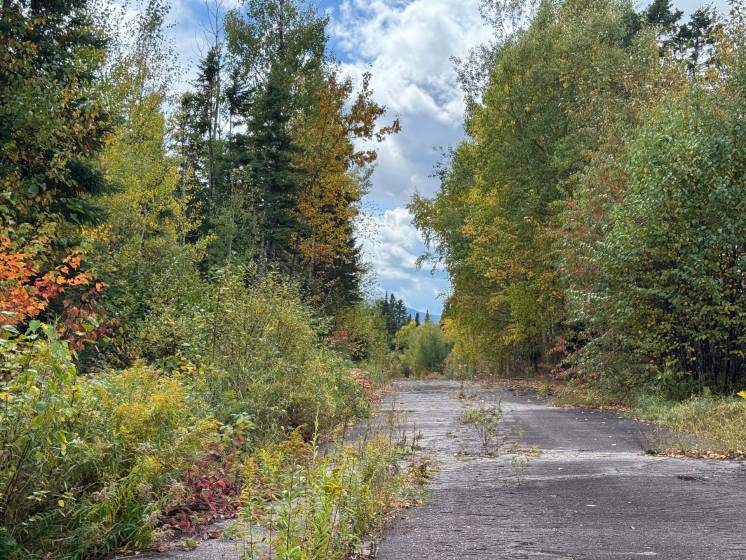 3 - Terrain et terre à vendre, Petite-Rivière-Saint-François (Code - pr828, Charlevoix)