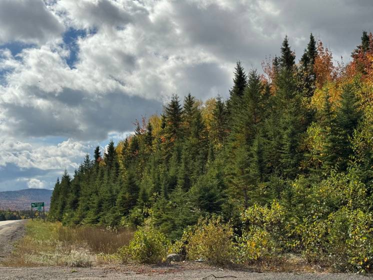 5 - Terrain et terre à vendre, Petite-Rivière-Saint-François (Code - pr828, Charlevoix)