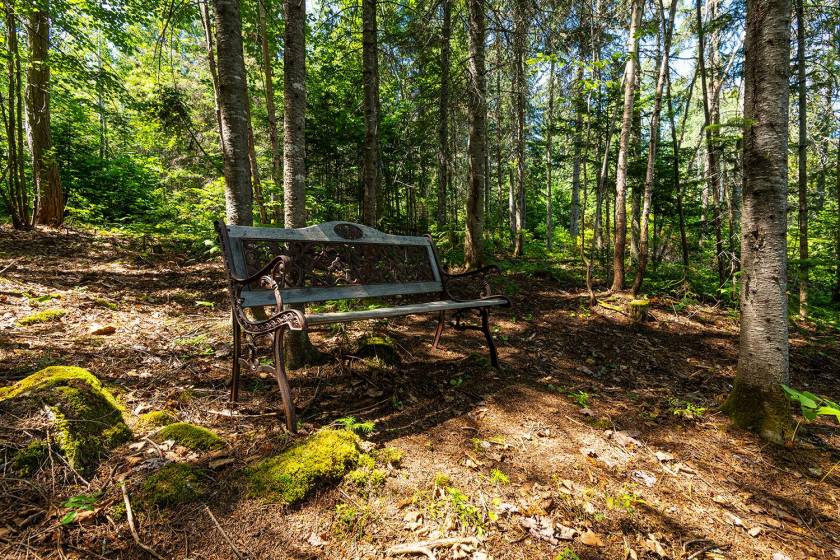 31 - Maison à vendre, Saint-Urbain (Code - su085, Charlevoix)