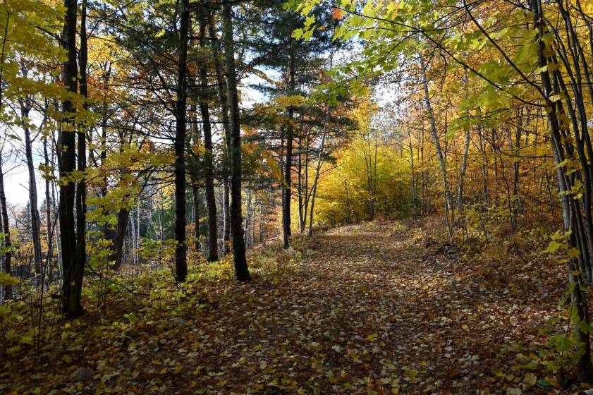 8 - Lot and land for sale, Baie-Saint-Paul (Code - sp908, Charlevoix)