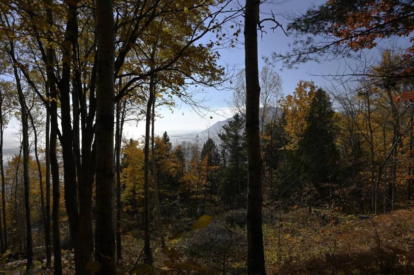 9 - Lot and land for sale, Baie-Saint-Paul (Code - sp908, Charlevoix)