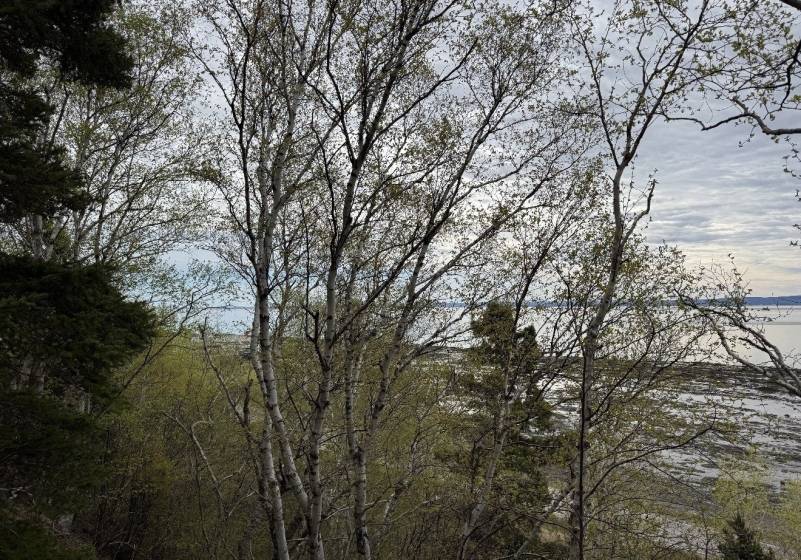2 - Terrain et terre à vendre, L'Isle-aux-Coudres (Code - ic045, Charlevoix)