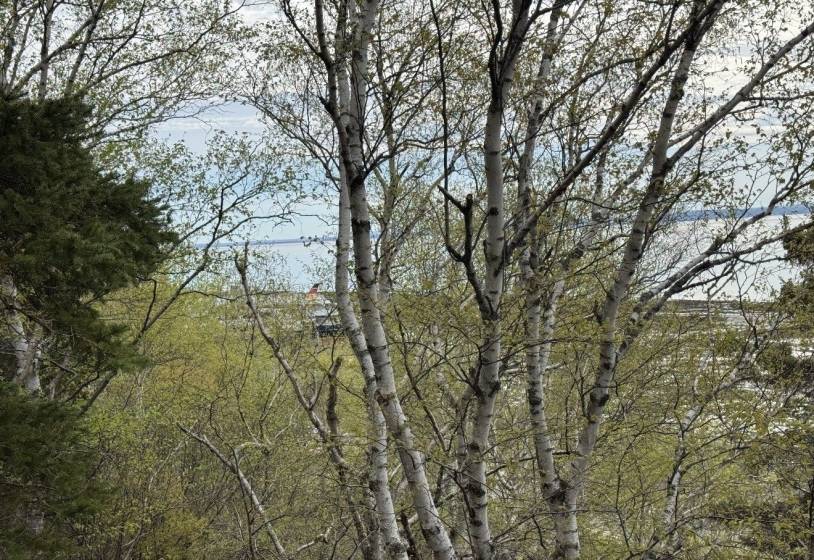 3 - Terrain et terre à vendre, L'Isle-aux-Coudres (Code - ic045, Charlevoix)