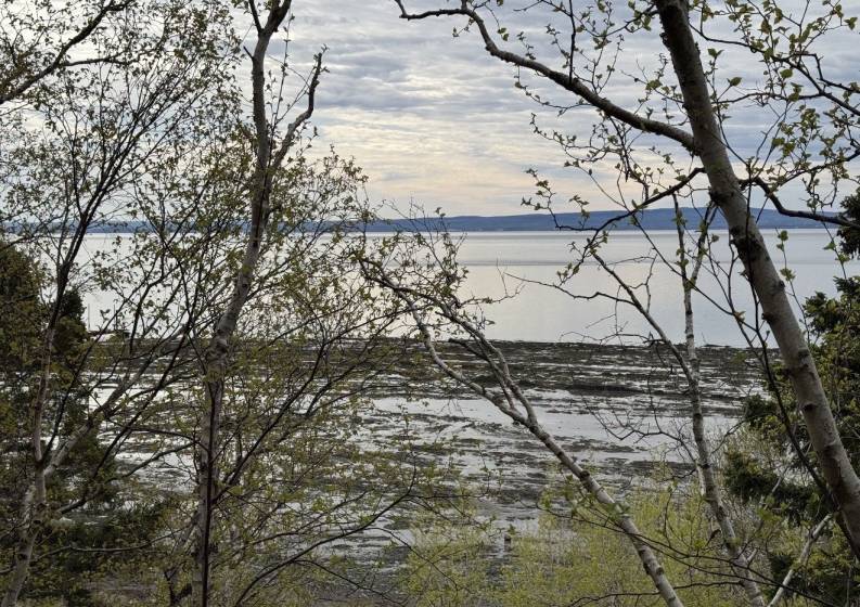 4 - Terrain et terre à vendre, L'Isle-aux-Coudres (Code - ic045, Charlevoix)