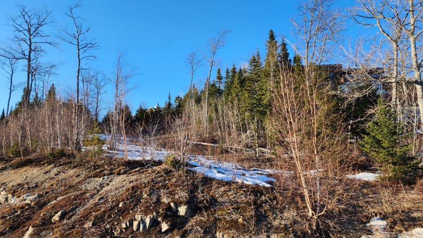 12 - Terrain et terre à vendre, Les Éboulements (Code - eb284, Charlevoix)