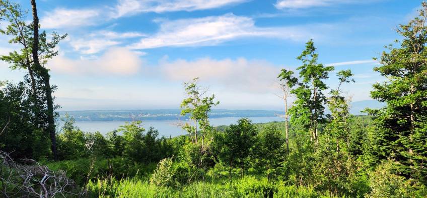 5 - Terrain et terre à vendre, Les Éboulements (Code - eb284, Charlevoix)