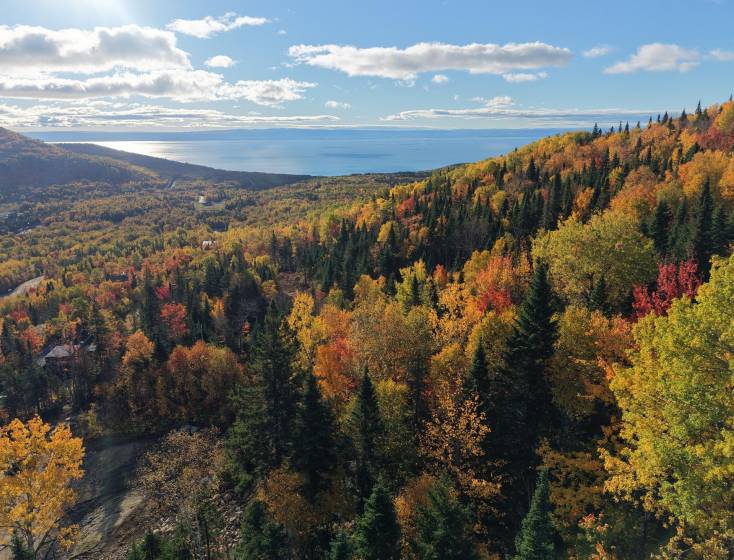 1 - Terrain et terre à vendre, Petite-Rivière-Saint-François (Code - pr872, Charlevoix)