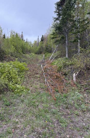 3 - Lot and land for sale, Les Éboulements (Code - eb325, Charlevoix)