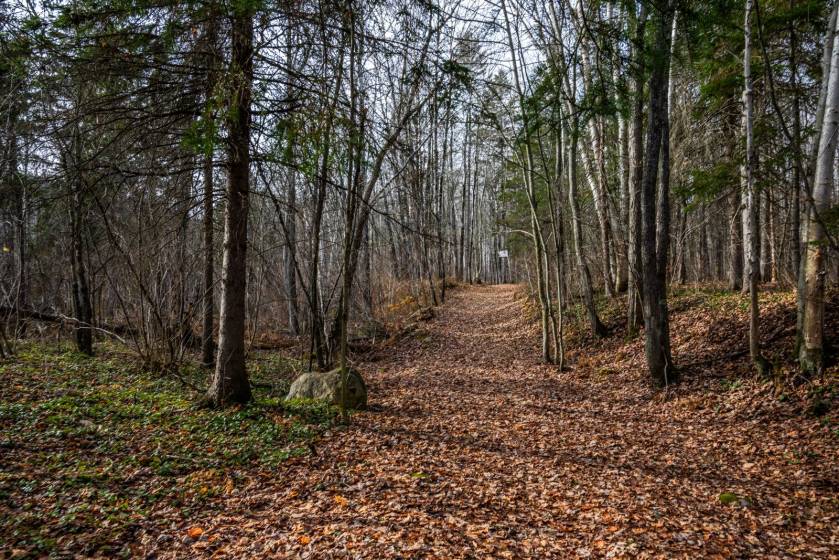 11 - Terrain et terre à vendre, Baie-Saint-Paul (Code - sp826, Charlevoix)