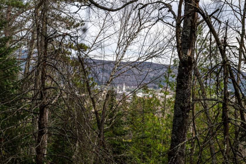 3 - Terrain et terre à vendre, Baie-Saint-Paul (Code - sp826, Charlevoix)