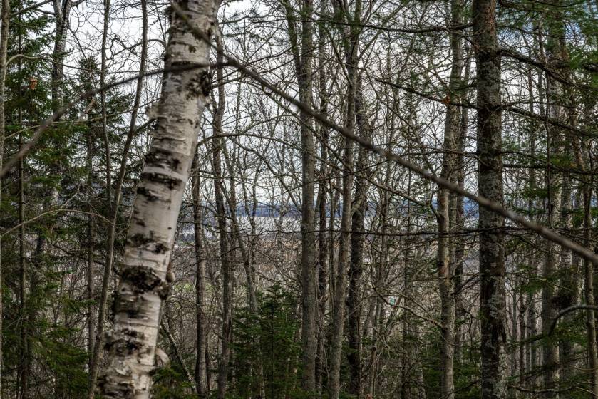 4 - Terrain et terre à vendre, Baie-Saint-Paul (Code - sp826, Charlevoix)