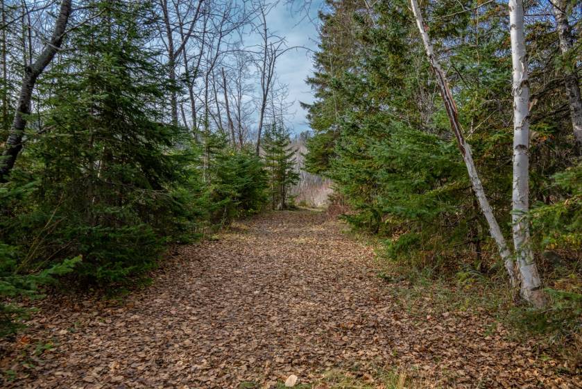 6 - Terrain et terre à vendre, Baie-Saint-Paul (Code - sp826, Charlevoix)