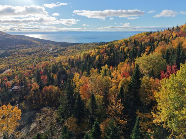 Lot and land for sale - Petite-Rivière-Saint-François, Charlevoix (PR874)