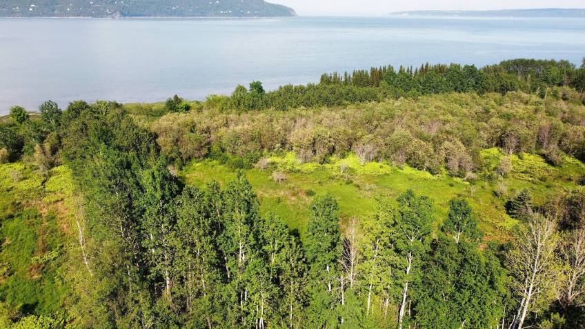 3 - Terrain et terre à vendre, Baie-Saint-Paul (Code - sp889, Charlevoix)