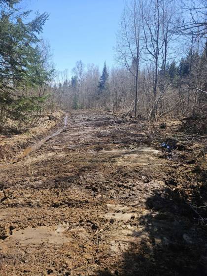 4 - Terrain et terre à vendre, Les Éboulements (Code - eb324, Charlevoix)