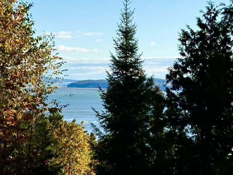 1 - Lot and land for sale, Petite-Rivière-Saint-François (Code - pr826, Charlevoix)