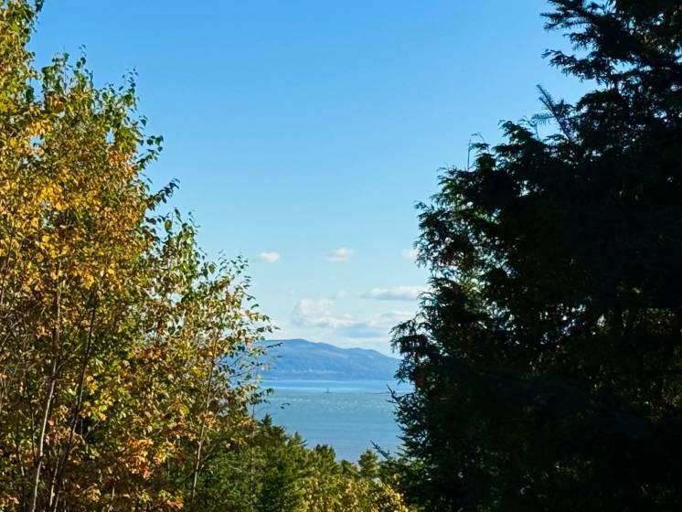 2 - Lot and land for sale, Petite-Rivière-Saint-François (Code - pr826, Charlevoix)