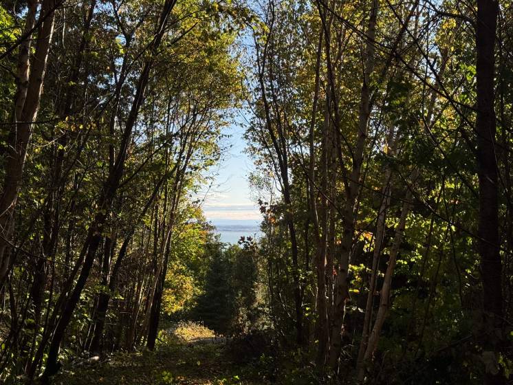 4 - Lot and land for sale, Petite-Rivière-Saint-François (Code - pr826, Charlevoix)
