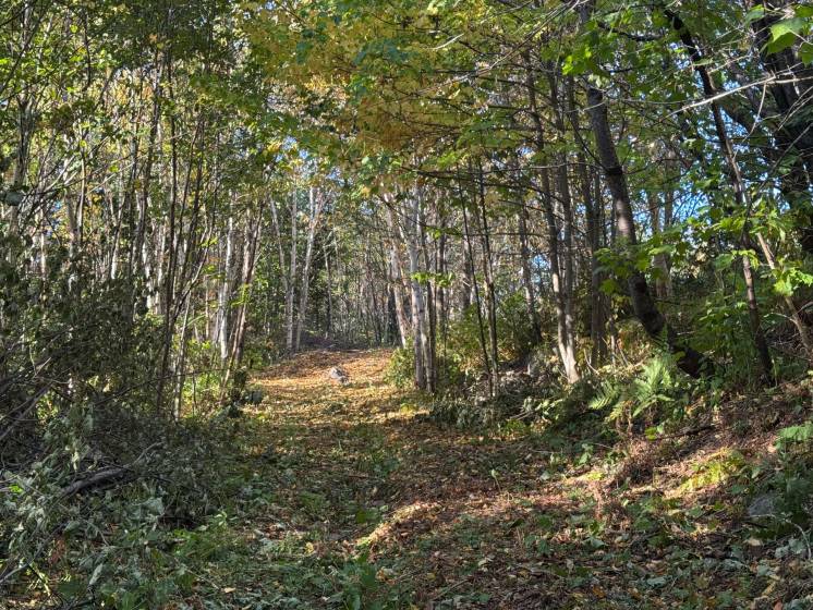 5 - Lot and land for sale, Petite-Rivière-Saint-François (Code - pr826, Charlevoix)