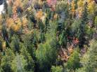 4 - Lot and land for sale, Petite-Rivière-Saint-François (Code - pr859, Charlevoix)