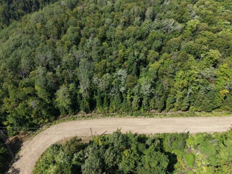 1 - Lot and land for sale, Petite-Rivière-Saint-François (Code - pr860, Charlevoix)