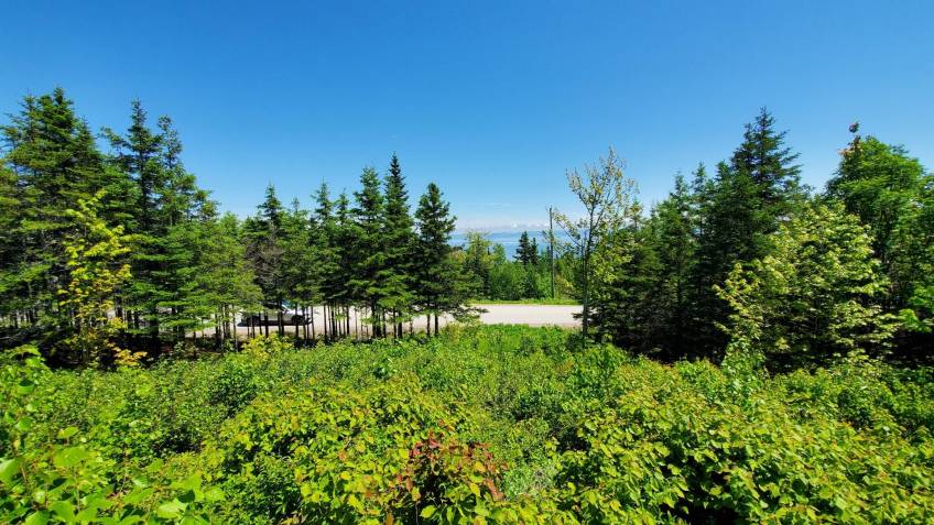 2 - Lot and land for sale, Les Éboulements (Code - eb282, Charlevoix)