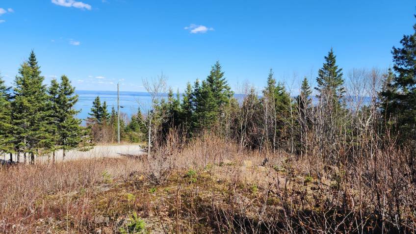 4 - Terrain et terre à vendre, Les Éboulements (Code - eb282, Charlevoix)
