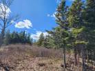 6 - Lot and land for sale, Les Éboulements (Code - eb282, Charlevoix)