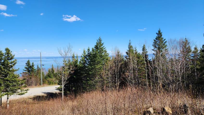 8 - Terrain et terre à vendre, Les Éboulements (Code - eb282, Charlevoix)