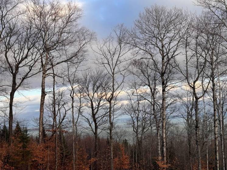 6 - Lot and land for sale, Petite-Rivière-Saint-François (Code - pr837, Charlevoix)