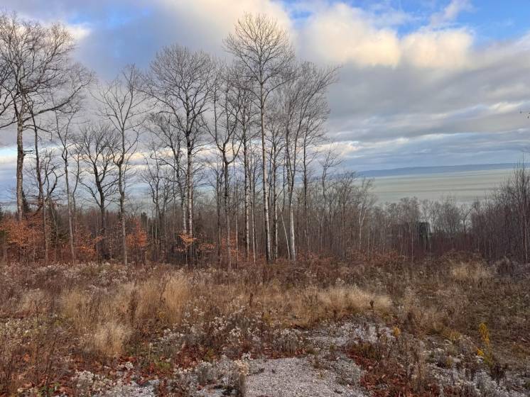 7 - Lot and land for sale, Petite-Rivière-Saint-François (Code - pr837, Charlevoix)