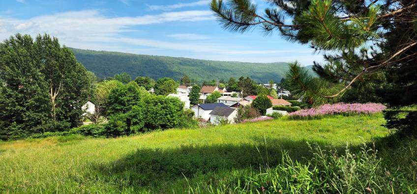 2 - Terrain et terre à vendre, Saint-Urbain (Code - su083, Charlevoix)