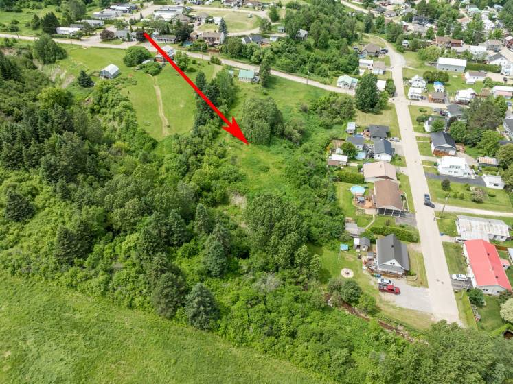 6 - Terrain et terre à vendre, Saint-Urbain (Code - su083, Charlevoix)