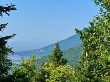 Terrain et terre à vendre - Petite-Rivière-Saint-François, Charlevoix (PR856)