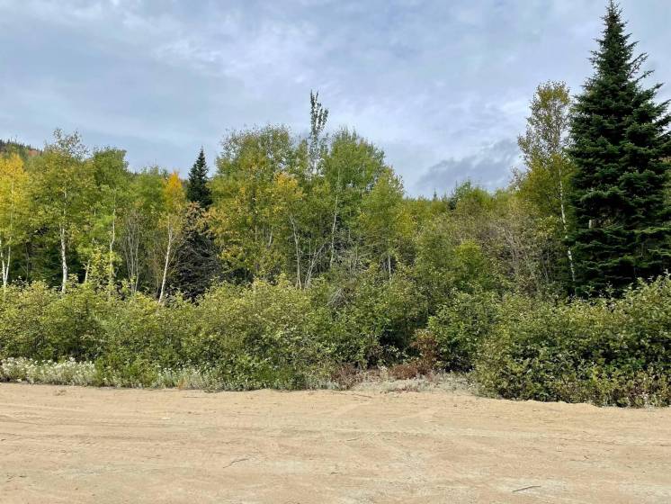 1 - Lot and land for sale, Petite-Rivière-Saint-François (Code - pr825, Charlevoix)