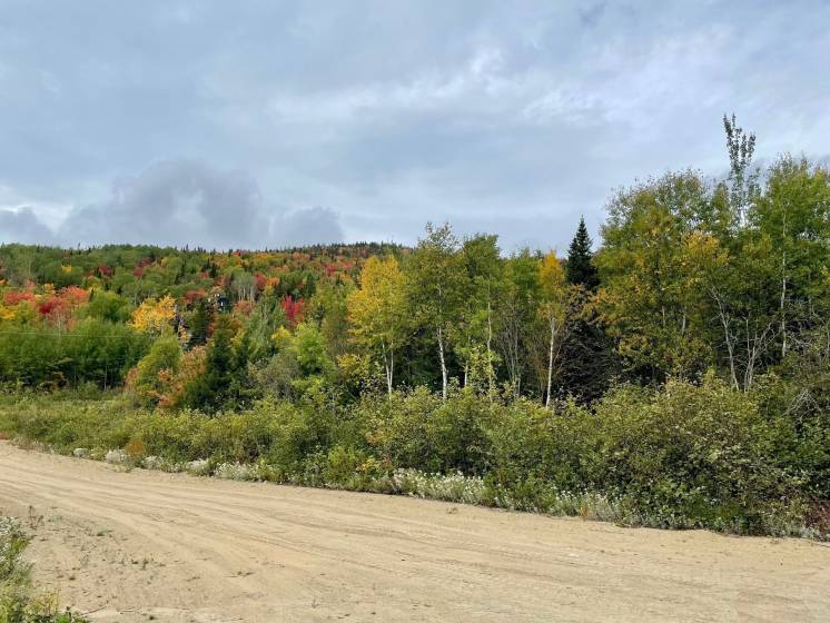 2 - Lot and land for sale, Petite-Rivière-Saint-François (Code - pr825, Charlevoix)