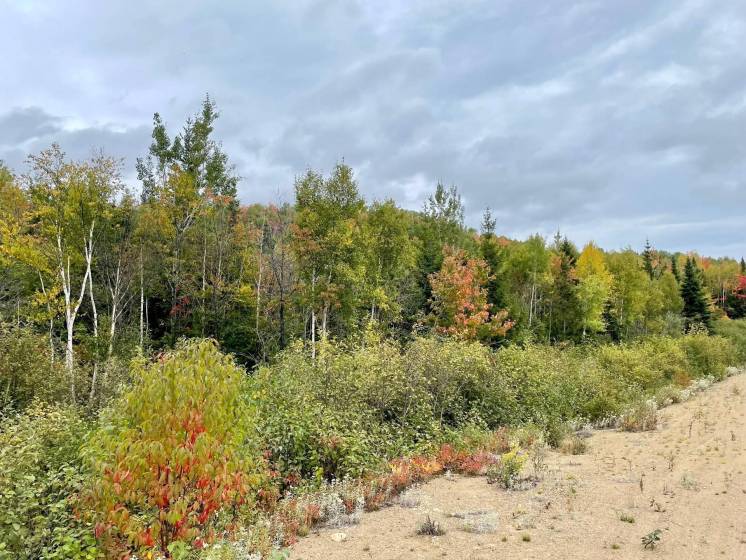 3 - Lot and land for sale, Petite-Rivière-Saint-François (Code - pr825, Charlevoix)