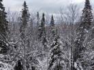 1 - Lot and land for sale, Petite-Rivière-Saint-François (Code - pr835, Charlevoix)