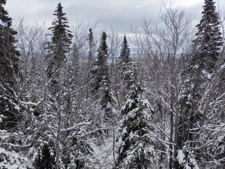 1 - Lot and land for sale, Petite-Rivière-Saint-François (Code - pr835, Charlevoix)