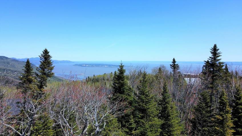 4 - Lot and land for sale, Petite-Rivière-Saint-François (Code - pr835, Charlevoix)