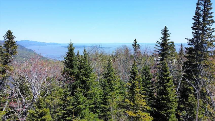 5 - Lot and land for sale, Petite-Rivière-Saint-François (Code - pr835, Charlevoix)