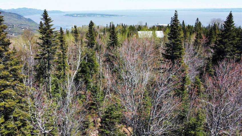 6 - Lot and land for sale, Petite-Rivière-Saint-François (Code - pr835, Charlevoix)
