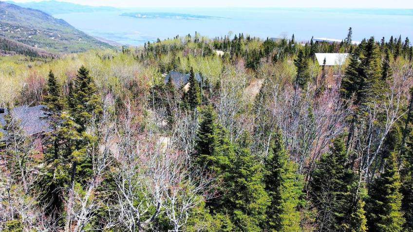 7 - Lot and land for sale, Petite-Rivière-Saint-François (Code - pr835, Charlevoix)