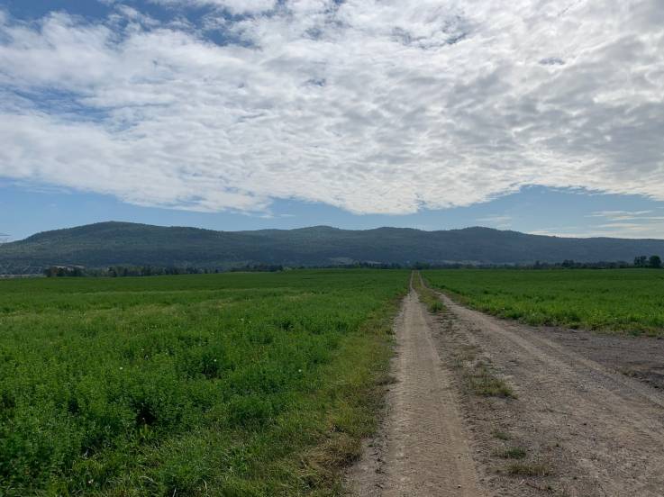 Lot and land for sale - Baie-Saint-Paul, Charlevoix (SP761)