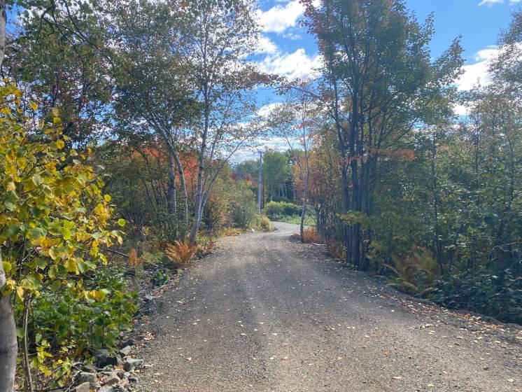 1 - Lot and land for sale, Saint-Siméon (Code - ss071, Charlevoix)