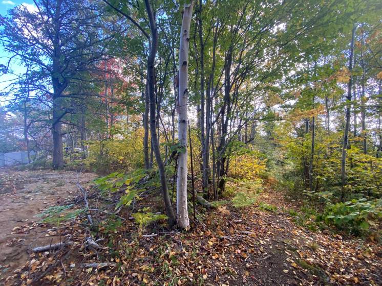 2 - Lot and land for sale, Saint-Siméon (Code - ss071, Charlevoix)