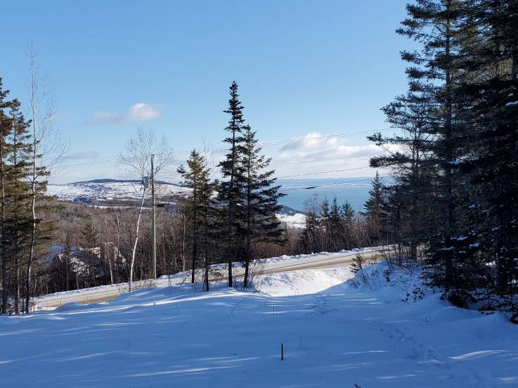 Lot and land for sale - Les Éboulements, Charlevoix (EB236)