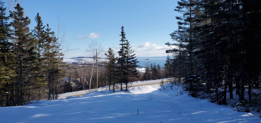 1 - Lot and land for sale, Les Éboulements (Code - eb236, Charlevoix)