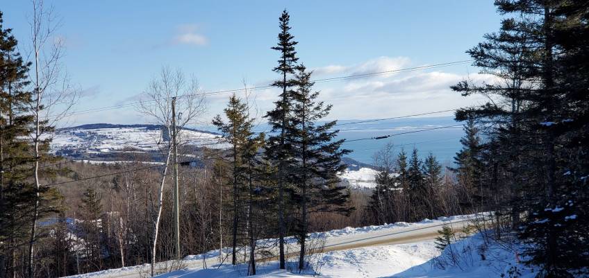 2 - Lot and land for sale, Les Éboulements (Code - eb236, Charlevoix)