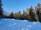 3 - Lot and land for sale, Les Éboulements (Code - eb236, Charlevoix)